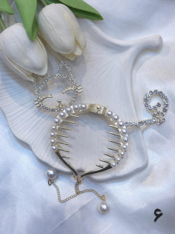 ابشاری نگینی گوجه ای